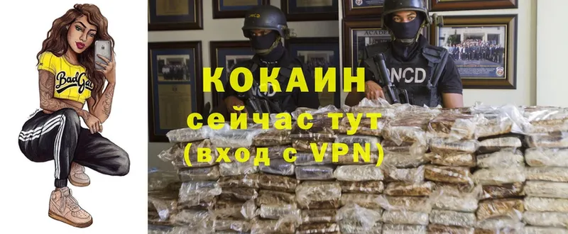 что такое   Нерчинск  COCAIN FishScale 