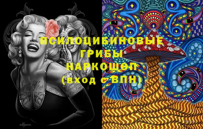 Галлюциногенные грибы Magic Shrooms  Нерчинск 